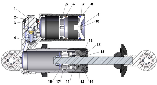 2022 Cobra CX50 JR - SHOCK - INTERNAL