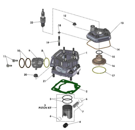 2021 Cobra CX50 SRx FWE - ENGINE - TOP END